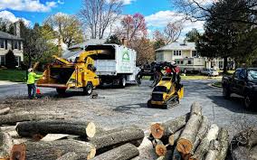 Best Lawn Pest Prevention  in Pleasant Valley, WV